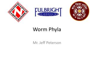 Worm Phyla