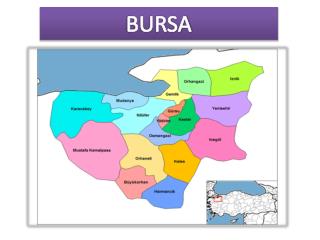 BURSA