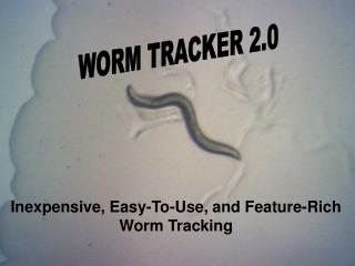 Inexpensive, Easy-To-Use, and Feature-Rich Worm Tracking
