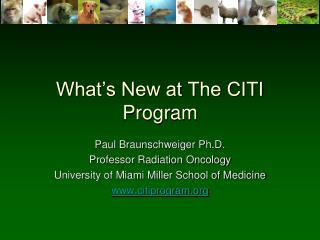 What’s New at The CITI Program