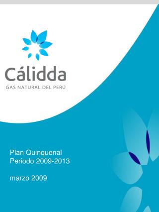 Plan Quinquenal Periodo 2009-2013 marzo 2009