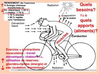 Conduction