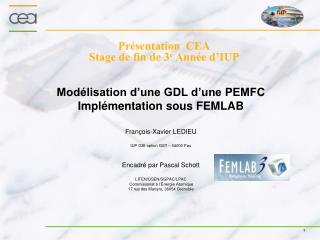 Présentation CEA Stage de fin de 3 e Année d’IUP