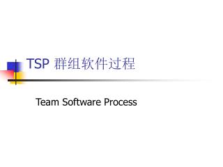 TSP 群组软件过程