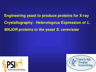 Justification for producing proteins in a eukaryotic host - limitations of expression in E. coli