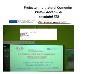 Proiectul multilateral Comenius Primul deceniu al secolului XXI