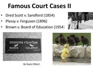 Famous Court Cases II