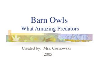 Barn Owls What Amazing Predators