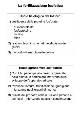 La fertilizzazione fosfatica