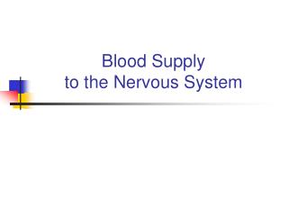 Blood Supply to the Nervous System