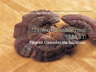 5-Ganoderma-Lucidum