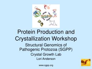 Protein Production and Crystallization Workshop