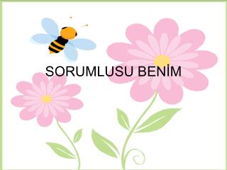 SORUMLUSU BENİM