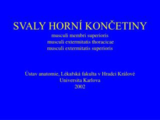 SVALY HORNÍ KONČETINY musculi membri superioris musculi extermitatis thoracicae