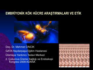 EMBRİYONİK KÖK HÜCRE ARAŞTIRMALARI VE ETİK