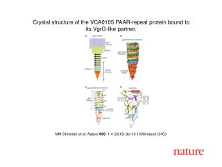 MM Shneider et al. Nature 000 , 1-4 (2013) doi:10.1038/nature12453