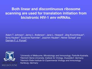 HIV-1 Alternative splicing