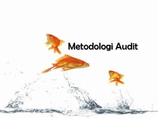 Metodologi Audit