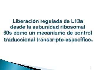 Liberación regulada de L13a desde la subunidad ribosomal 60s como un mecanismo de control