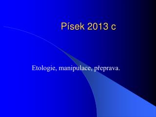 Písek 2013 c