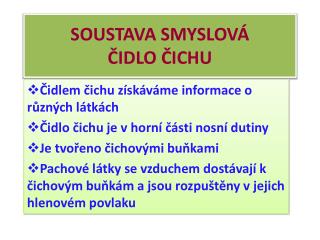 SOUSTAVA SMYSLOVÁ ČIDLO ČICHU