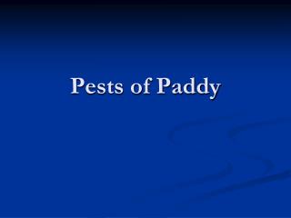 Pests of Paddy