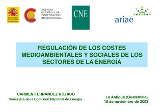 REGULACIÓN DE LOS COSTES MEDIOAMBIENTALES Y SOCIALES DE LOS SECTORES DE LA ENERGÍA