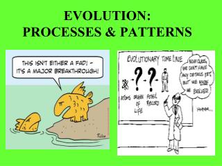 EVOLUTION: PROCESSES &amp; PATTERNS
