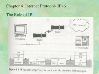 The Role of IP