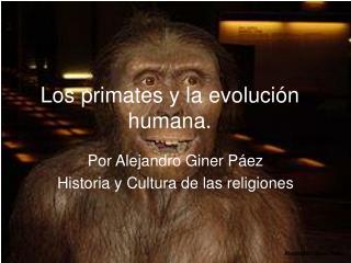 Los primates y la evolución humana.