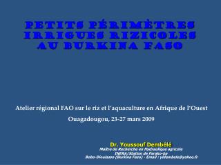 Petits périmètres IRRIGUES rizicoles au Burkina Faso