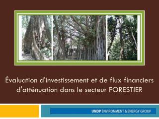 Évaluation d'investissement et de flux financiers d'atténuation dans le secteur FORESTIER