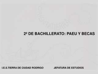 2º DE BACHILLERATO: PAEU Y BECAS