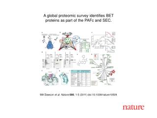 MA Dawson et al . Nature 000 , 1 - 5 (2011) doi:10.1038/nature10509