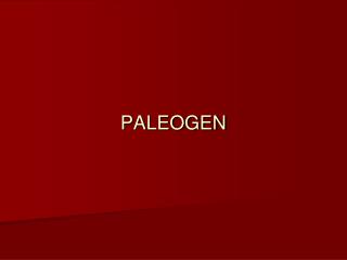 PALEOGEN