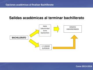 Salidas académicas al terminar bachillerato