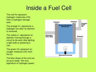 Inside a Fuel Cell