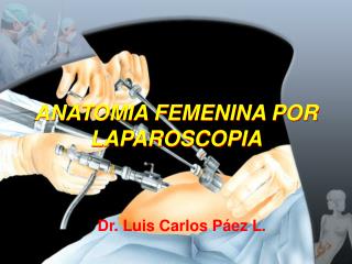 ANATOMIA FEMENINA POR LAPAROSCOPIA