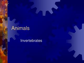 Animals