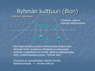 Ryhmän kulttuuri (Bion)