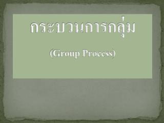 กระบวนการ กลุ่ม ( Group Process )