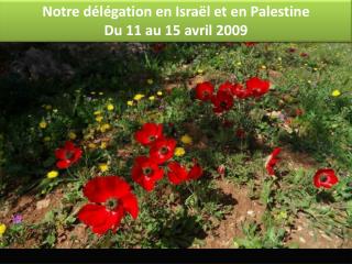 Notre délégation en Israël et en Palestine Du 11 au 15 avril 2009