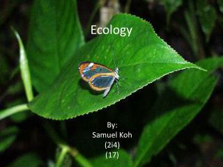 Ecology