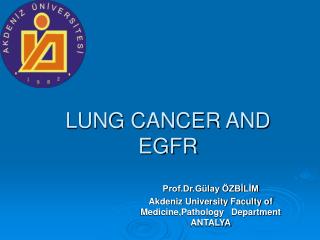 LUNG CANCER AND EGFR