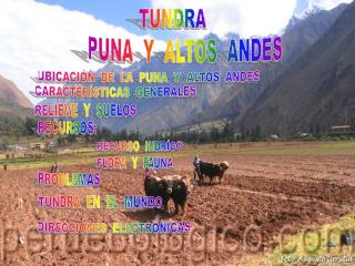 PUNA Y ALTOS ANDES