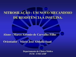 NITROSILAÇÃO : UM NOVO MECANISMO DE RESISTÊNCIA A INSULINA.