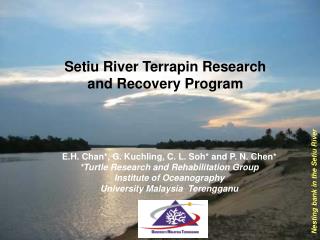 Setiu River Terrapin Research and Recovery Program