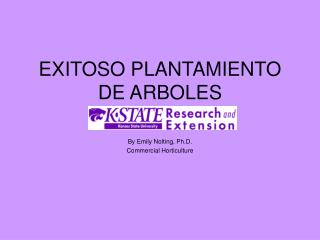 EXITOSO PLANTAMIENTO DE ARBOLES