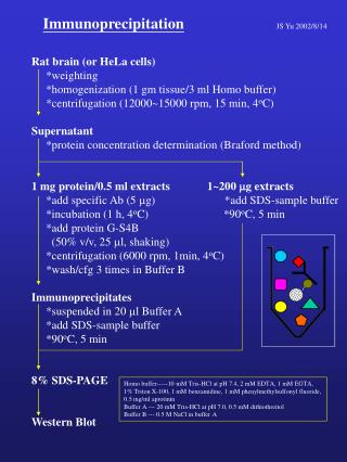 Immunoprecipitation JS Yu 2002/8/14