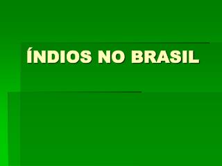 ÍNDIOS NO BRASIL